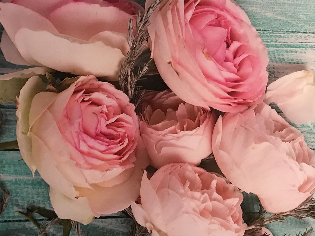 Hotel Le Festival Cannes Bagian luar foto